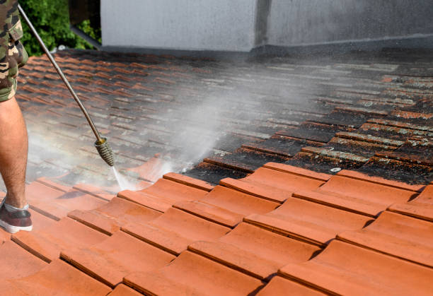 Best Exterior Home Cleaning  in Smyrna, DE