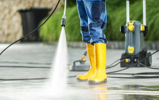 Best House Pressure Washing  in Smyrna, DE
