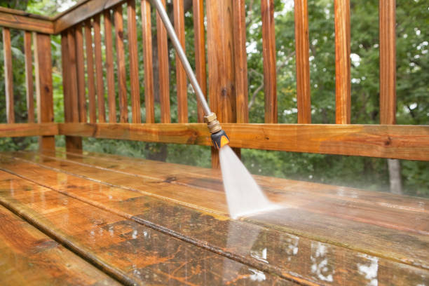 Best Roof Power Washing Services  in Smyrna, DE