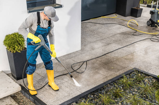Best House Pressure Washing  in Smyrna, DE