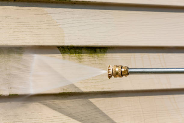 Best Residential Pressure Washing Services  in Smyrna, DE