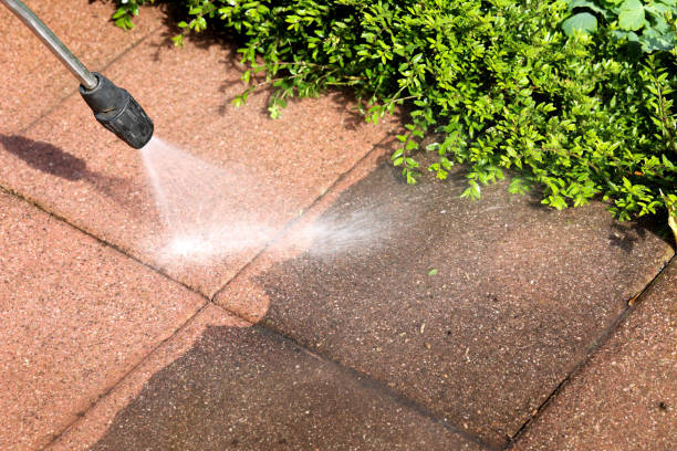 Best Local Pressure Washing Services  in Smyrna, DE